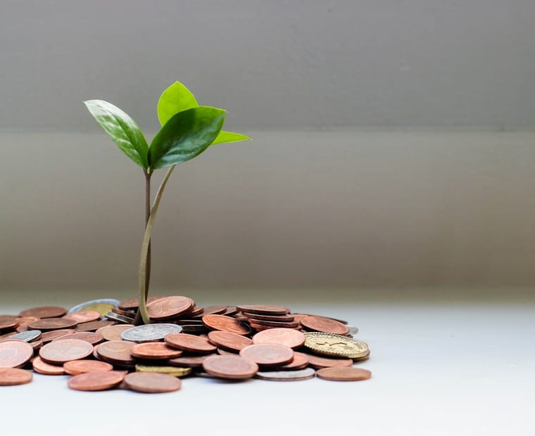 A young plant growing from a pile of coins